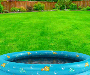 LDH18-0008-Mosquito-300x250-Pool