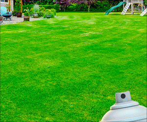 LDH18-0008-Mosquito-300x250-Spray (1)